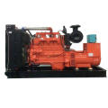 SWT Gasgenerator 24kW-300kW